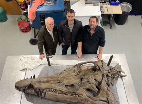 Учени откриха череп на древно чудовище със 130 зъба (СНИМКИ) - Новинар