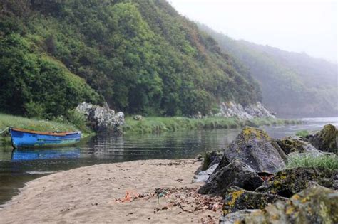 Stradbally Cove River Tay Photo Uk Beach Guide