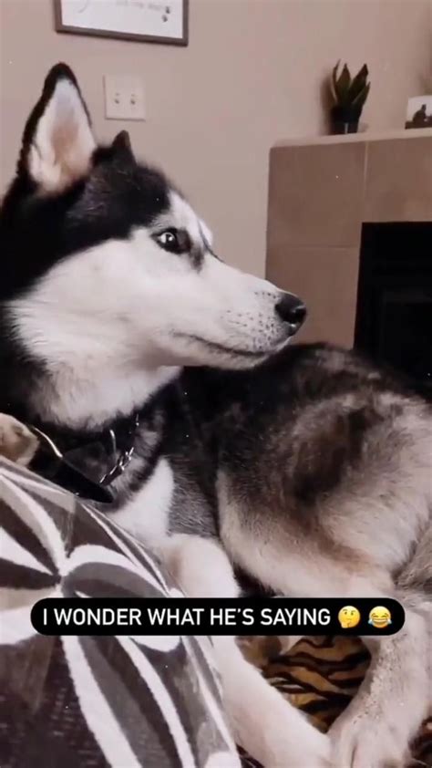 Skaya Siberian Hits 100k Subscribers On Youtube Artofit