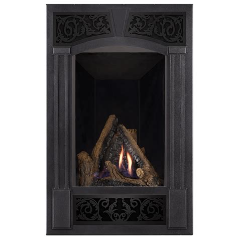 19+ Napoleon Direct Vent Fireplace