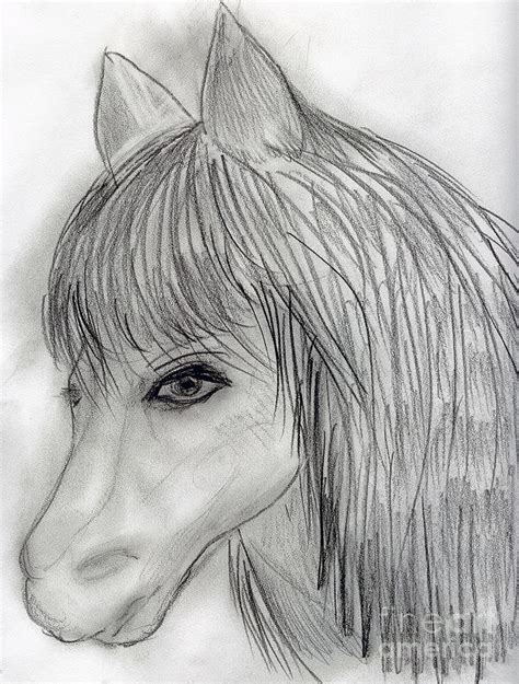 Wild Horse Drawing By Sonya Chalmers Fine Art America