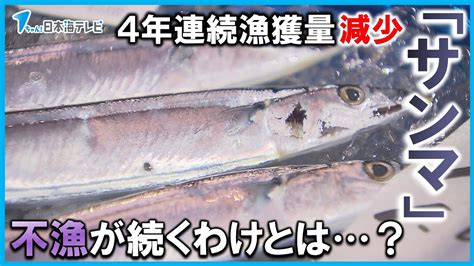 【記録的な不漁】4年連続で漁獲量は過去最低「サンマ」の不漁が続く原因は？ 漁獲量減少による価格上昇に不満の声も Youtube