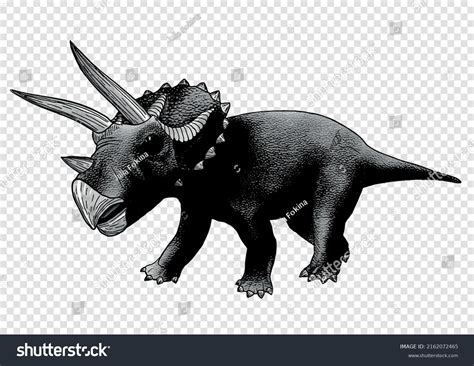 Dinosaur Illustration Triceratops Vector Sketch Isolated Stock Vector (Royalty Free) 2162072465 ...