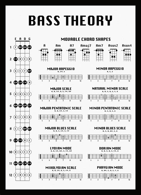 Bass Theory Poster In 2024 Music Theory Guitar Bass Guitar Lessons Bass Guitar Scales