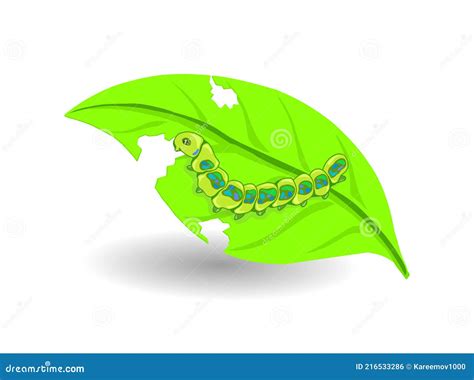 Leaf And Caterpillar Vector Illustration Caterpillars Are Eating