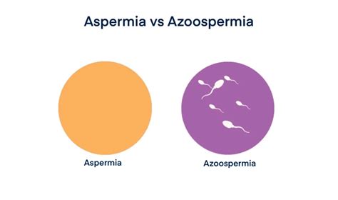 Azoospermia Nil Sperm Count Causes Treatments And Cost