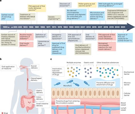 Nature Reviews Bioengineering丨商珞然团队与合作者综述仿生口服药物递送系统