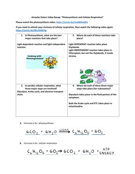 Amoeba Sisters Video Recap Photosynthesis and cell respiration.docx (1)