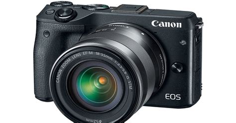 Best Canon Mirrorless Camera 2024 Lonni Vinita