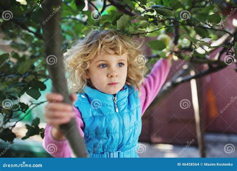 Portrait De Petite Fille Blonde Mignonne Photo Stock Image Du Saison Simple