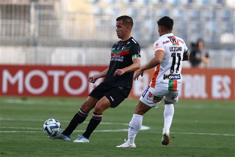 Previa Fecha Cobresal Vs Palestino Club Deportivo Palestino Sadp