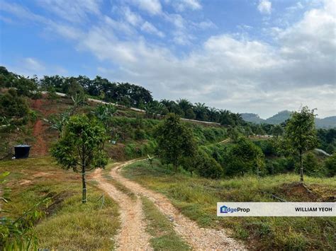 Durian Orchard Land 11 Arces For Sale Temau Raub For Sale RM5 000 000