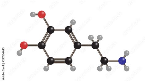 Dopamine Molecule Vector Molecular Structure Vector Design Dopamine