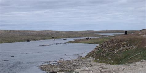 Turismo E Viagem Para Cambridge Bay 2023 Férias Em Cambridge Bay