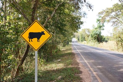 Sinal De Estrada Do Cruzamento Da Vaca Imagem De Stock Imagem De