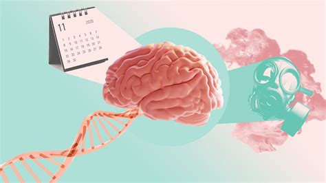 Parkinsons Diseases 3767994