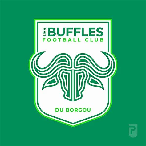 Les Buffles Fc Du Borgou