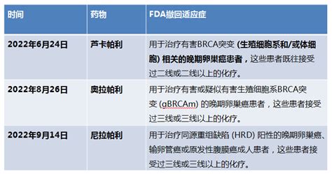 2023 Asco 复发性卵巢癌parp抑制剂维持治疗后进展的患者对后续含铂治疗反应更差腾讯新闻