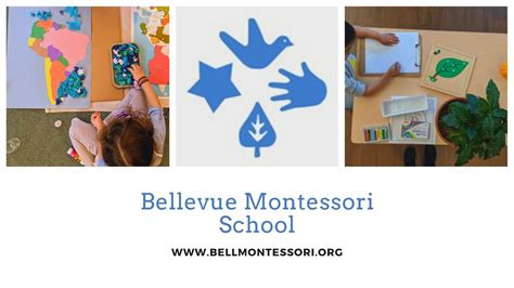 BELLEVUE MONTESSORI SCHOOL - Updated January 2025 - 24 Photos & 16 ...