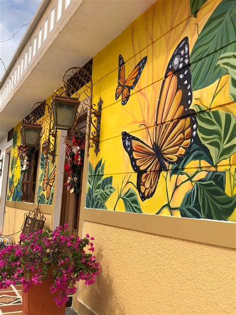 Yaguará se transforma con el ambicioso Plan Fachada - TSM Noticias