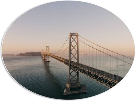 Pvc Schuimplaat Ovaal Brug In San Francisco Met Zee X Cm Foto