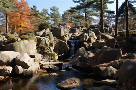 Premium Ai Image Tranquil Pond In Autumn Woods