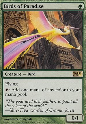 Birds Of Paradise Core Set Modern Card Kingdom