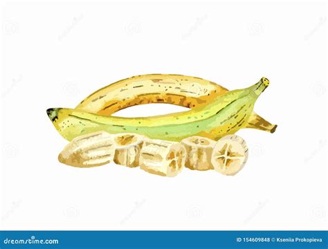 Banana Drawing, Two Bananas, Sliced Banana Stock Illustration ...