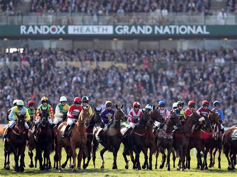 List Of Grand National Runners 2025 Printable - Adora Horatia