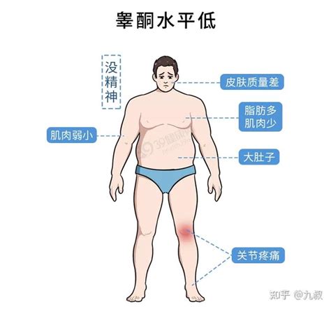 3个提升睾酮的方法，省钱不伤身！（万千猛男必备） 知乎