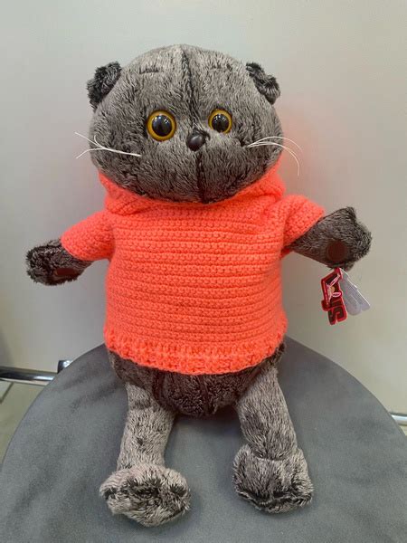 Мягкая игрушка кот Барсик в коралловом худи - купить с доставкой по ...