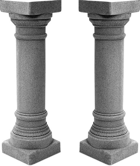 Columna Vertebral Dibujo Png Actualizado Noviembre Porn Sex Picture