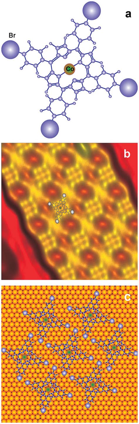 Color Online Molecular Self Assembly A Chemical Structure Of