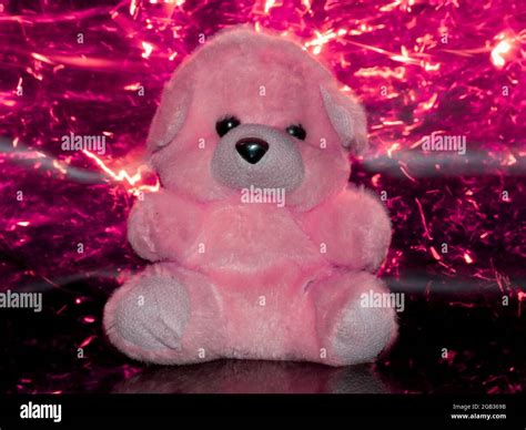 Soft toy teddy bear isolated on pink light sparkles background Stock ...