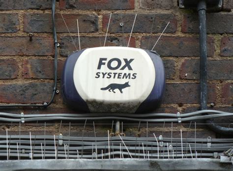 Охранная сигнализация как объект современного искусства / Блог ...