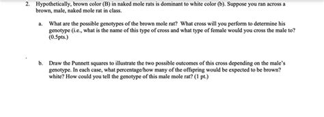 Solved Hypothetically Brown Color B In Naked Mole Rats Chegg