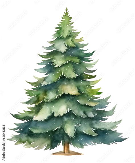 Watercolor Christmas tree traditional isolated. Stock Illustration ...