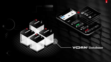 videodesign reviews  clients designrush