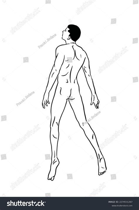 Outline Muscular Naked Man Vector Illustration Stock Vector Royalty Free 2274531267 Shutterstock