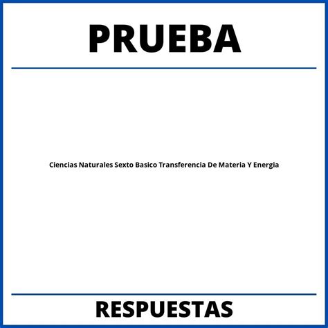 Prueba De Ciencias Naturales Sexto Basico Transferencia De Materia Y Energia 2024