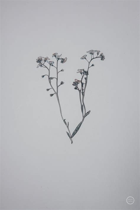 William h bonney secrets are revealed in a newly found journal 34