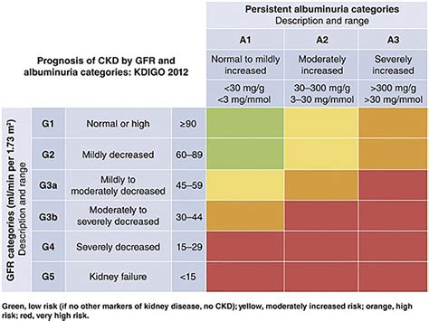 Prognosis Of Ckd By Gfr And Albuminuria Categories Reproduced With