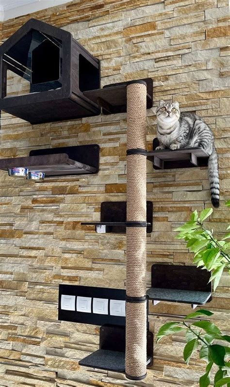 Cat Tree for Large Cats Cat Tree for Big Cats Large Cat Tree Large Cat ...