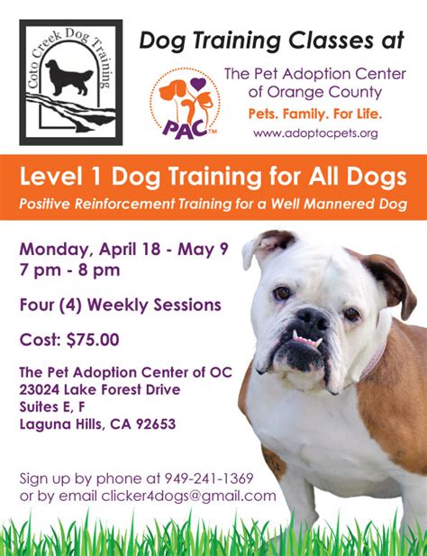 Level 1 Dog Training Classes – The Pet Adoption Center of Orange County