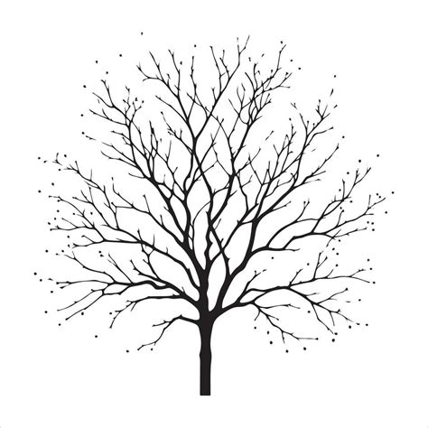 Minimal Autumn Naked Tree Vector Silhouette Vector Art At Vecteezy