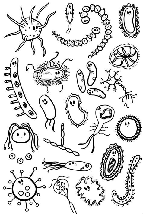 Dibujos De Celulas