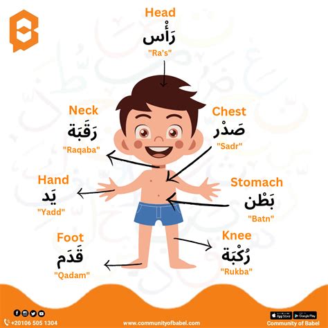 Body Parts In Arabic Community Of Babel