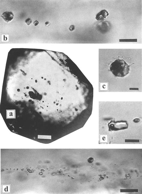 Micrographs Of Inclusion In Quartz Phenocrysts From Kaolinized Quartz Download Scientific