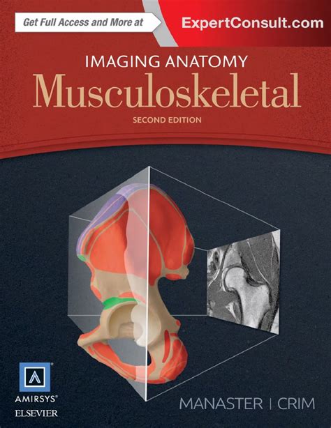 Diagnostic Imagingimaging Anatomy 2015 2018 Second And Third Edition
