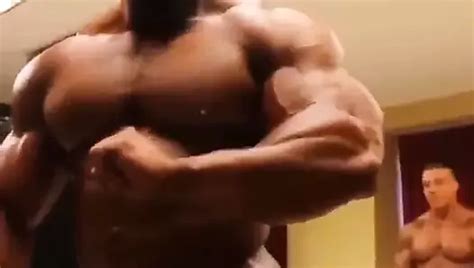 Musclebull Porn Videos Gay Xxx Xhamster